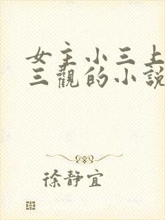 女主小三上位无三观的小说