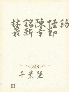 林铭陈佳的小说最新章节