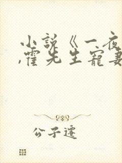 小说《一夜情深,霍先生宠妻无度》