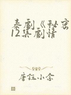 泰剧《秘密爱》12集剧情