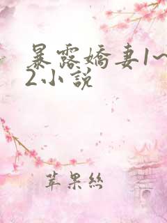 暴露娇妻1~12小说