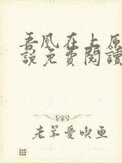 吾凰在上原著小说免费阅读