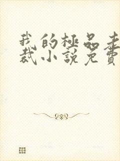 我的极品老婆总裁小说免费阅读