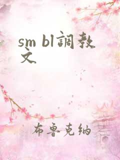 sm bl调教文
