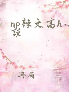 np辣文高h小说