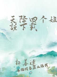天降四个姐姐小说下载