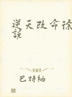 逆天改命徐大小说