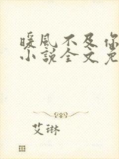 暖风不及你情深小说全文免费阅读全文