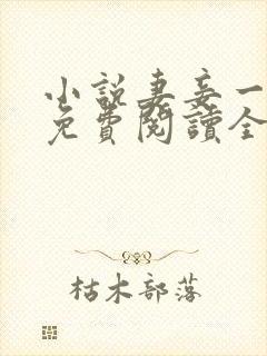 小说妻妾一家欢免费阅读全文