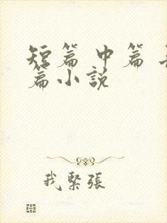 短篇 中篇 长篇小说