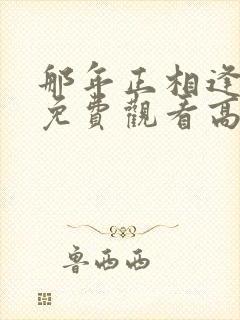 那年正相逢短剧免费观看高清