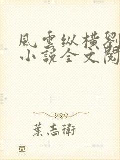 风云纵横刘穆薇小说全文阅读免费