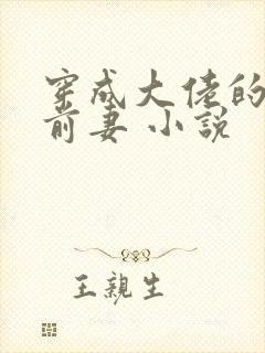 穿成大佬的私奔前妻 小说