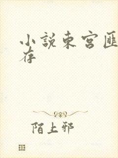 小说东宫匪我思存