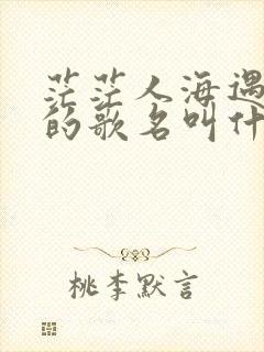 茫茫人海遇见你的歌名叫什么