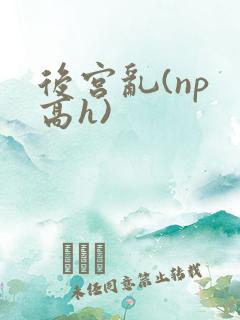 后宫乱(np 高h)