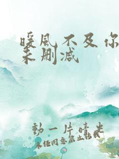 暖风不及你情深未删减