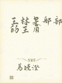 王林是哪部小说的主角