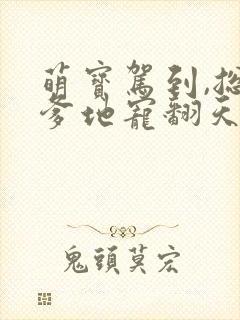 萌宝驾到,总裁爹地宠翻天