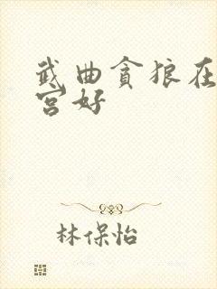 武曲贪狼在哪个宫好