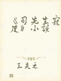 《司先生宠妻无度》小说