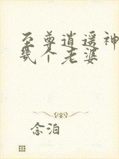 至尊逍遥神男主几个老婆