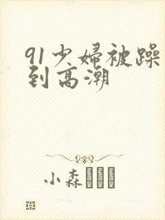 91少妇被躁爽到高潮