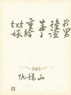 txt重生后我嫁给了渣男的死对头下载