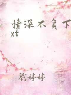 情深不负下载txt