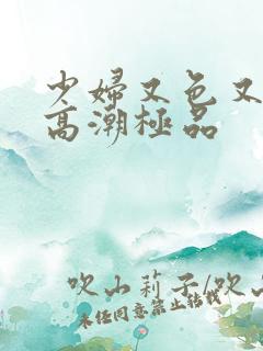 少妇又色又爽又高潮极品