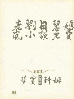 老刘日儿媳妇张岚小说免费阅读