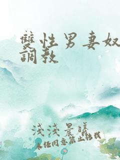 双性男妻奴束缚调教