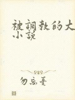 被调教的大小姐小说