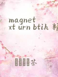 magnet xt urn btih 精品