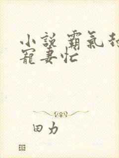 小说 霸气封少宠妻忙