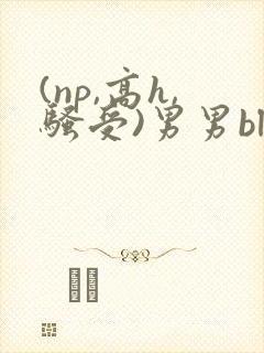 (np,高h,骚受)男男bl