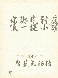 你与我到底是不值一提小说免费阅读