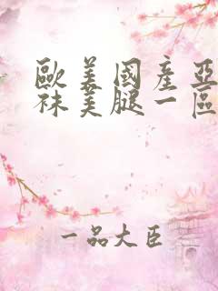 欧美国产亚洲丝袜美腿一区