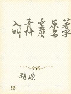 入青云原著小说叫什么名字