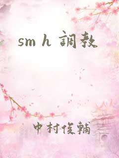 sm h 调教