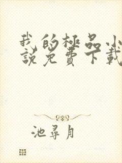 我的极品小姨小说免费下载