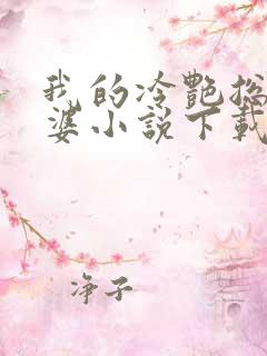我的冷艳总裁老婆小说下载