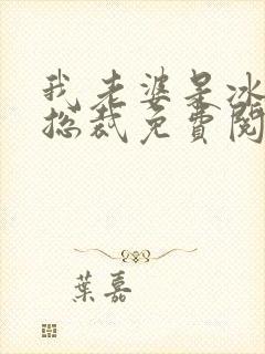 我老婆是冰山女总裁免费阅读全文