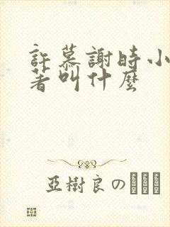 许慕谢时小说原著叫什么