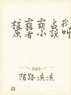 校霸霸占我妈妈原著小说叫什么名字