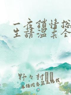 一夜锁情总裁先生请温柔全文免费