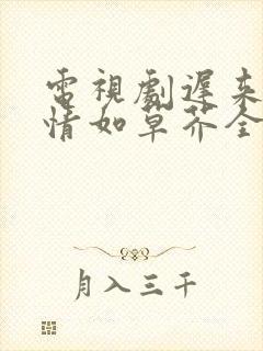 电视剧迟来的深情如草芥全集