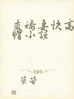 爽娇妻快高h绿帽小说