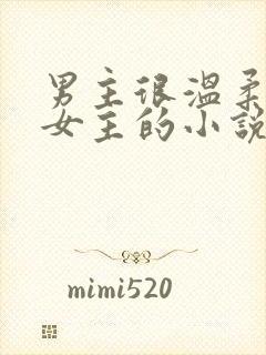 男主很温柔很爱女主的小说