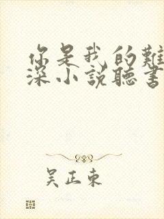 你是我的难得情深小说听书